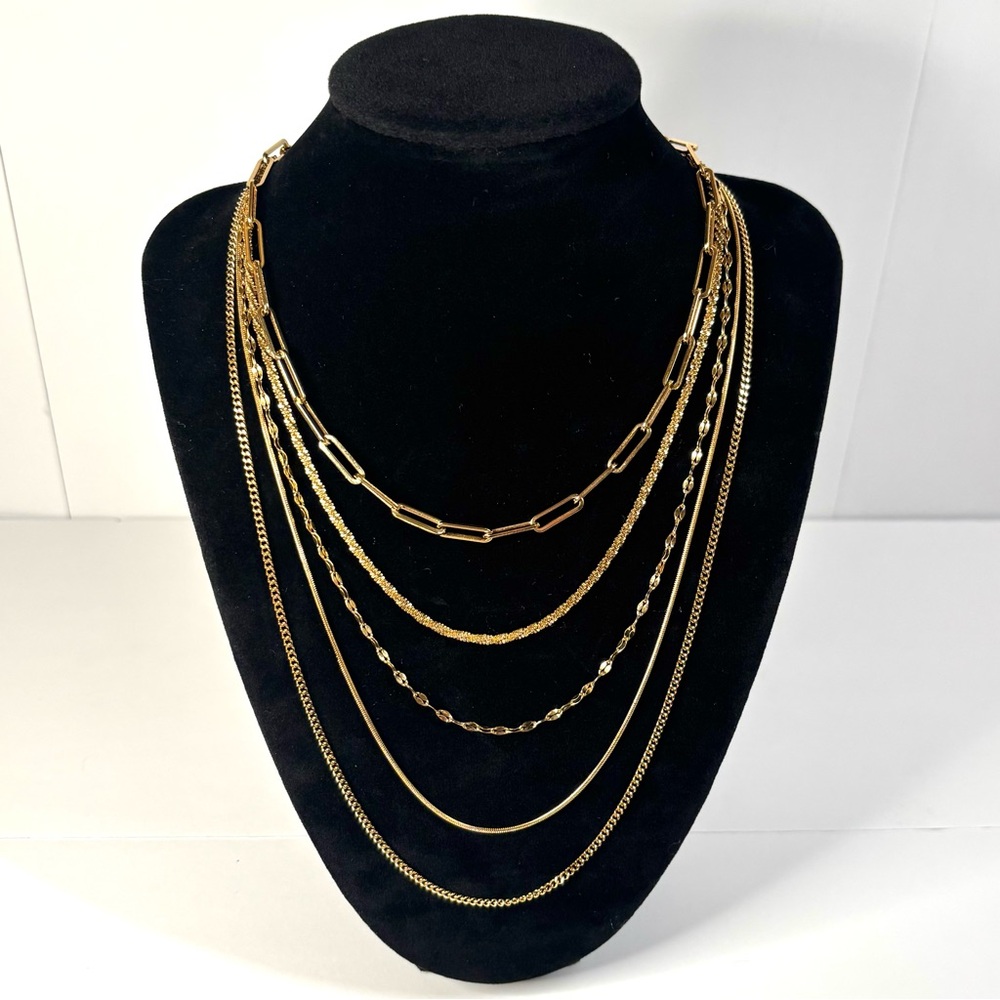 5 Chain necklace bundle (jewelry box included)
